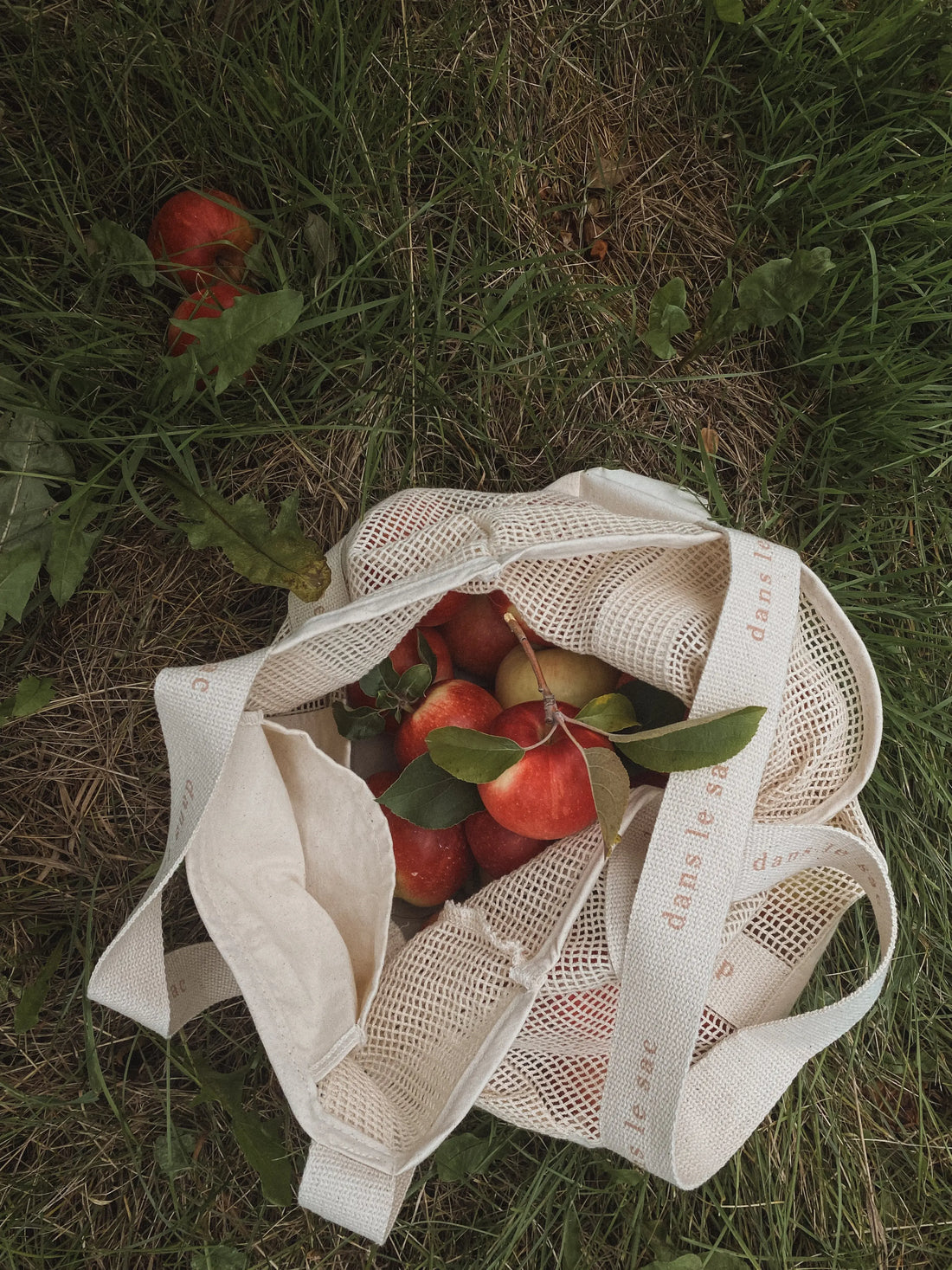 Grand Fourre-tout en filet Dans Le Sac