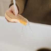 Cleaning sponge