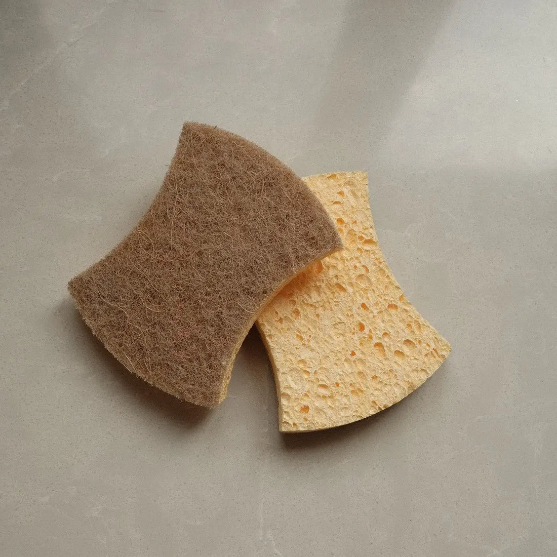 éponges