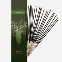 Incense Sticks