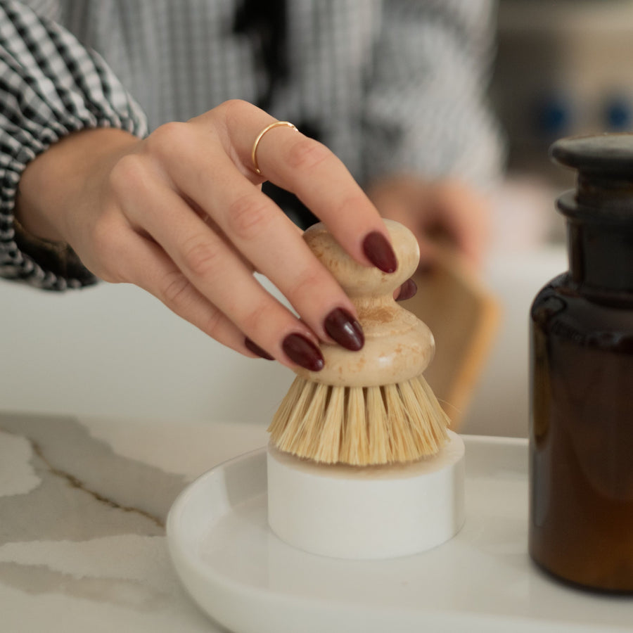 Dish brush Casa Agave