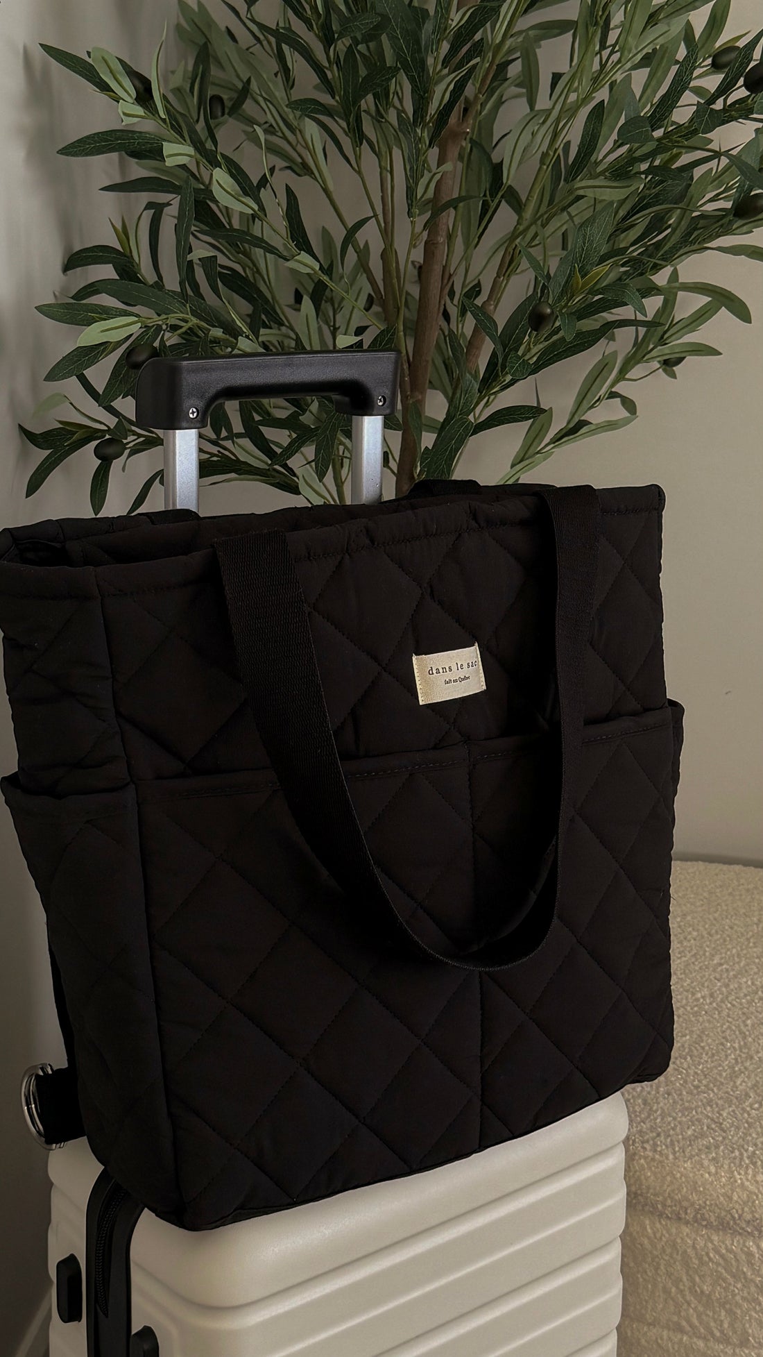 Convertible backpack attached to suitcase