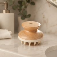 brosse-shampoing-danslesac