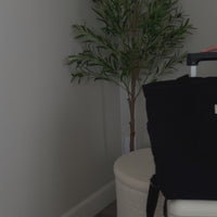 Convertible backpack attached to suitcase