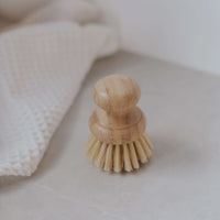 petite brosse à vaisselle